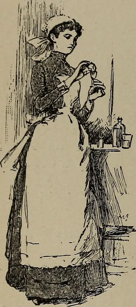 An illustration from The woman's book : dealing practically with the modern conditions of home-life, self-support, education, opportunties, and every-day problems, 1894, leaf 61