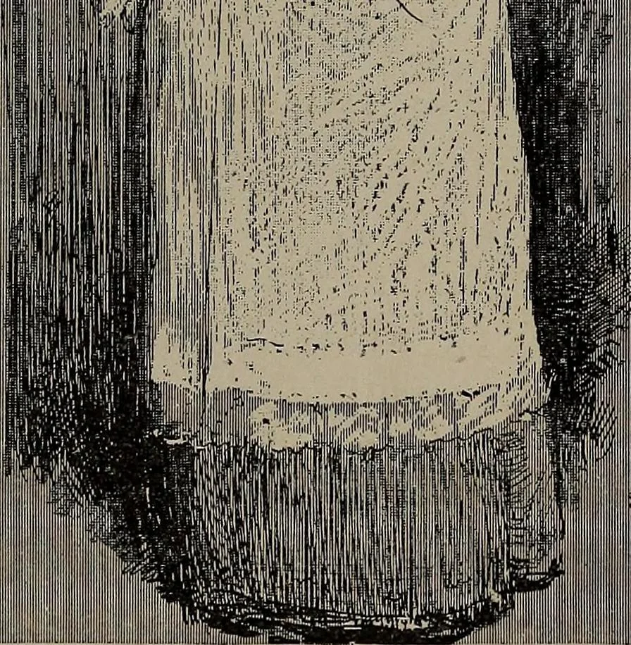 An illustration from The woman's book : dealing practically with the modern conditions of home-life, self-support, education, opportunties, and every-day problems, 1894, leaf 62