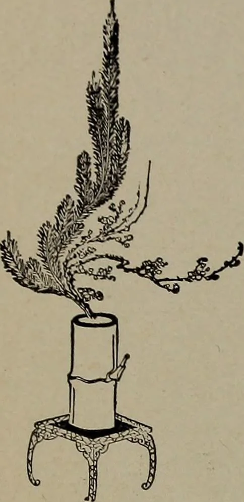 An illustration from The woman's book : dealing practically with the modern conditions of home-life, self-support, education, opportunties, and every-day problems, 1894, leaf 141