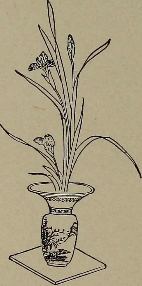 An illustration from The woman's book : dealing practically with the modern conditions of home-life, self-support, education, opportunties, and every-day problems, 1894, leaf 141