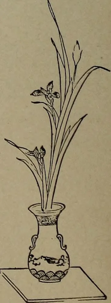 An illustration from The woman's book : dealing practically with the modern conditions of home-life, self-support, education, opportunties, and every-day problems, 1894, leaf 141