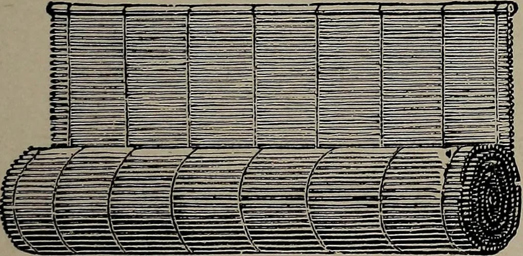 An illustration from The woman's book : dealing practically with the modern conditions of home-life, self-support, education, opportunties, and every-day problems, 1894, leaf 184