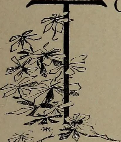An illustration from The woman's book : dealing practically with the modern conditions of home-life, self-support, education, opportunties, and every-day problems, 1894, leaf 22