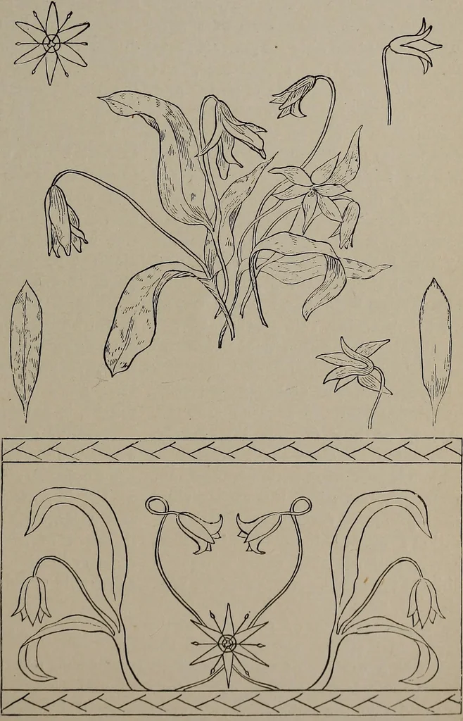 An illustration from The woman's book : dealing practically with the modern conditions of home-life, self-support, education, opportunties, and every-day problems, 1894, leaf 246