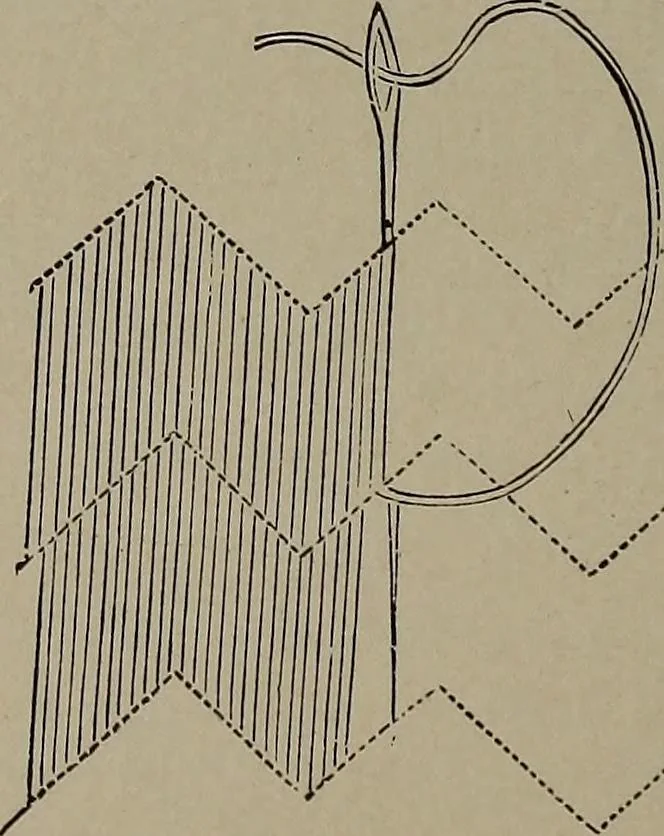 An illustration from The woman's book : dealing practically with the modern conditions of home-life, self-support, education, opportunties, and every-day problems, 1894, leaf 249