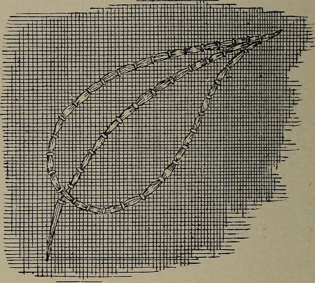 An illustration from The woman's book : dealing practically with the modern conditions of home-life, self-support, education, opportunties, and every-day problems, 1894, leaf 251