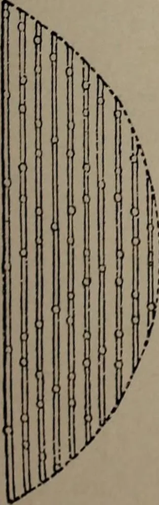 An illustration from The woman's book : dealing practically with the modern conditions of home-life, self-support, education, opportunties, and every-day problems, 1894, leaf 252
