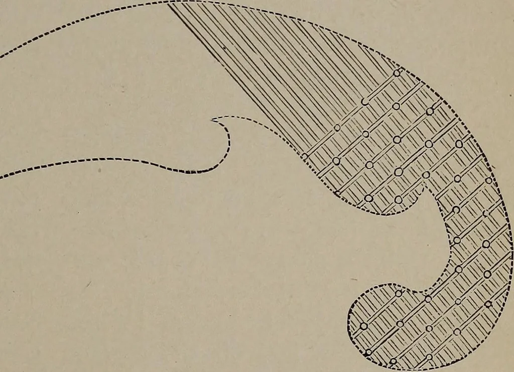 An illustration from The woman's book : dealing practically with the modern conditions of home-life, self-support, education, opportunties, and every-day problems, 1894, leaf 252