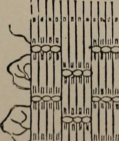 An illustration from The woman's book : dealing practically with the modern conditions of home-life, self-support, education, opportunties, and every-day problems, 1894, leaf 252