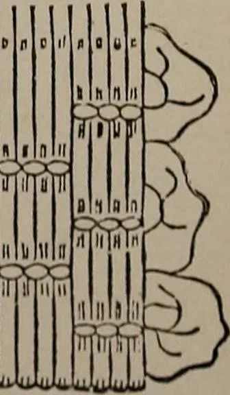 An illustration from The woman's book : dealing practically with the modern conditions of home-life, self-support, education, opportunties, and every-day problems, 1894, leaf 252