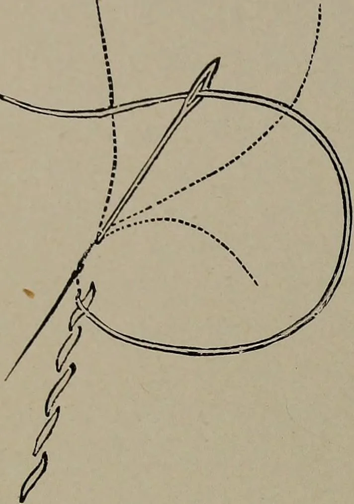 An illustration from The woman's book : dealing practically with the modern conditions of home-life, self-support, education, opportunties, and every-day problems, 1894, leaf 255
