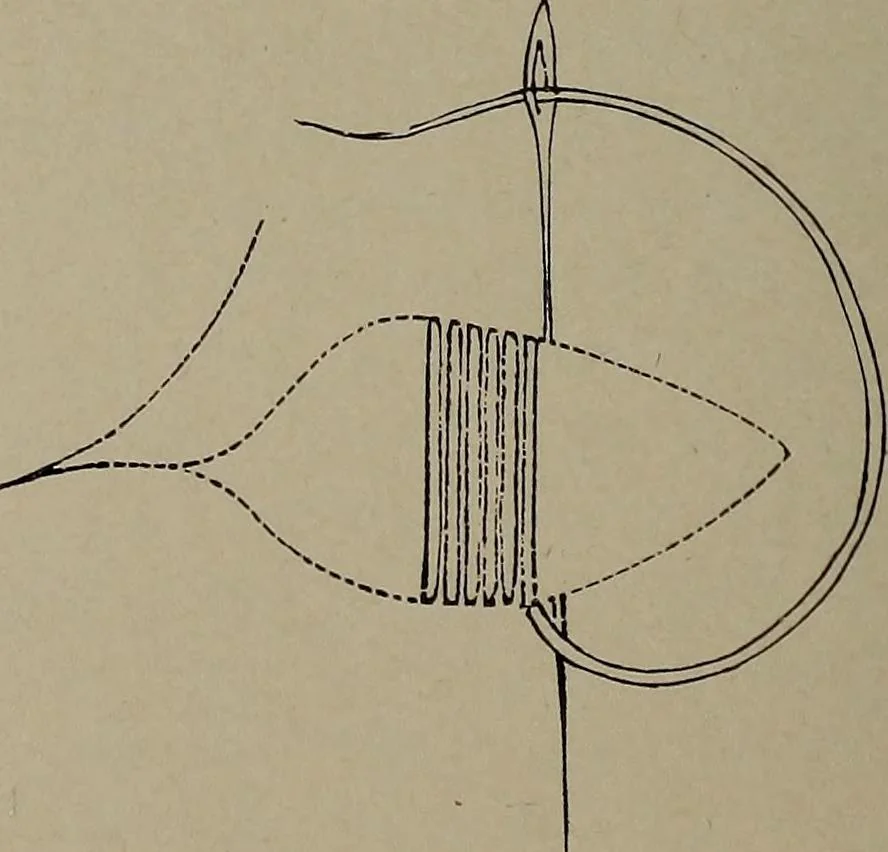 An illustration from The woman's book : dealing practically with the modern conditions of home-life, self-support, education, opportunties, and every-day problems, 1894, leaf 255