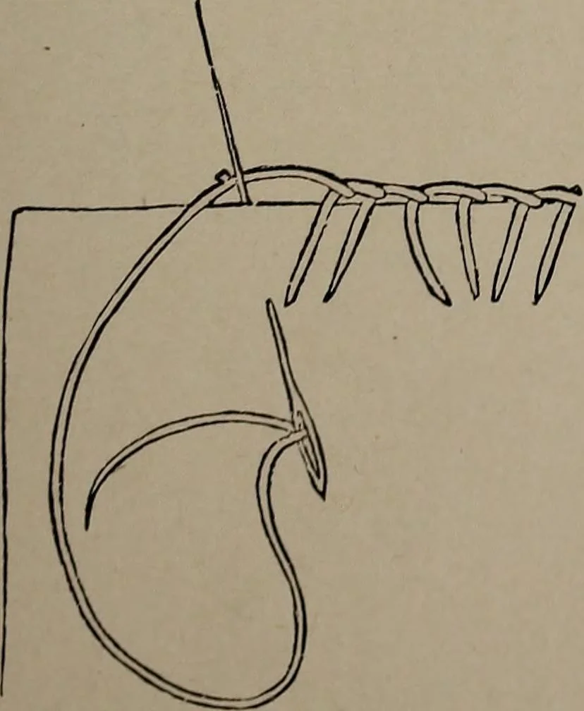An illustration from The woman's book : dealing practically with the modern conditions of home-life, self-support, education, opportunties, and every-day problems, 1894, leaf 256