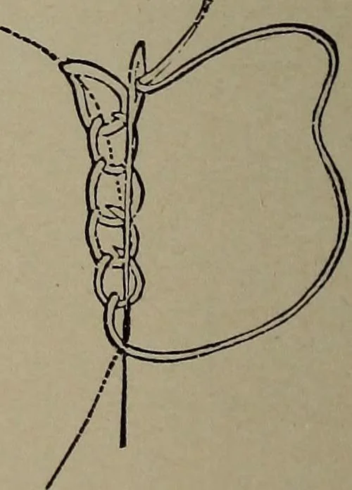 An illustration from The woman's book : dealing practically with the modern conditions of home-life, self-support, education, opportunties, and every-day problems, 1894, leaf 257