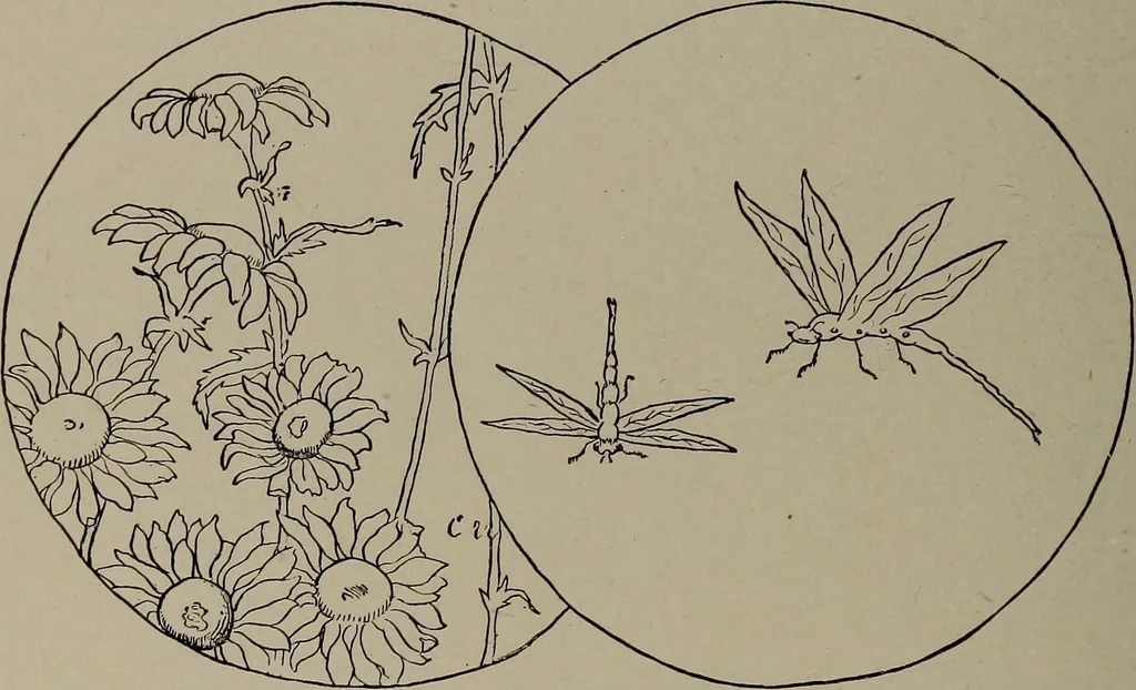 An illustration from The woman's book : dealing practically with the modern conditions of home-life, self-support, education, opportunties, and every-day problems, 1894, leaf 263