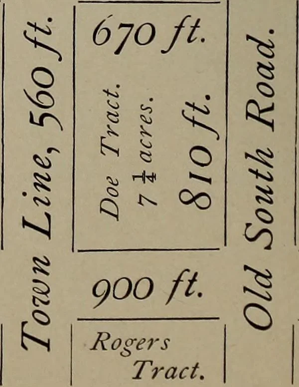 An illustration from The woman's book : dealing practically with the modern conditions of home-life, self-support, education, opportunties, and every-day problems, 1894, leaf 307