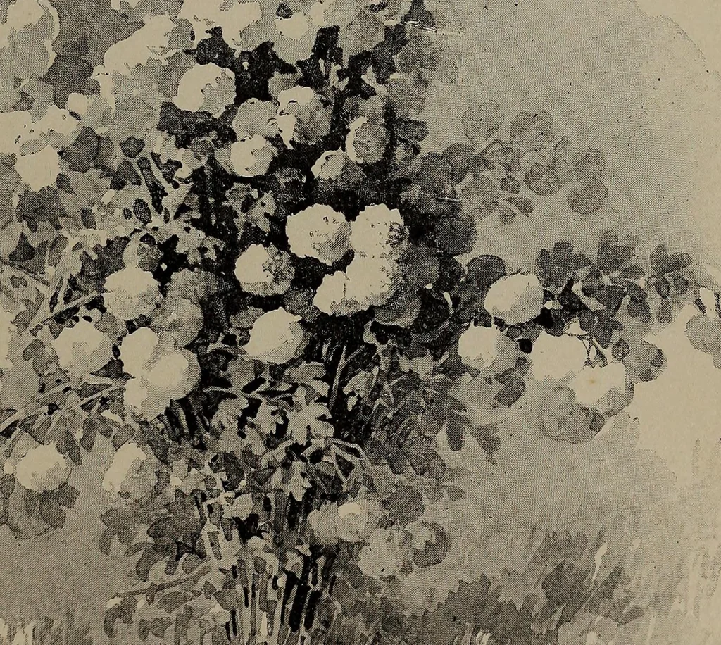 An illustration from The woman's book : dealing practically with the modern conditions of home-life, self-support, education, opportunties, and every-day problems, 1894, leaf 36