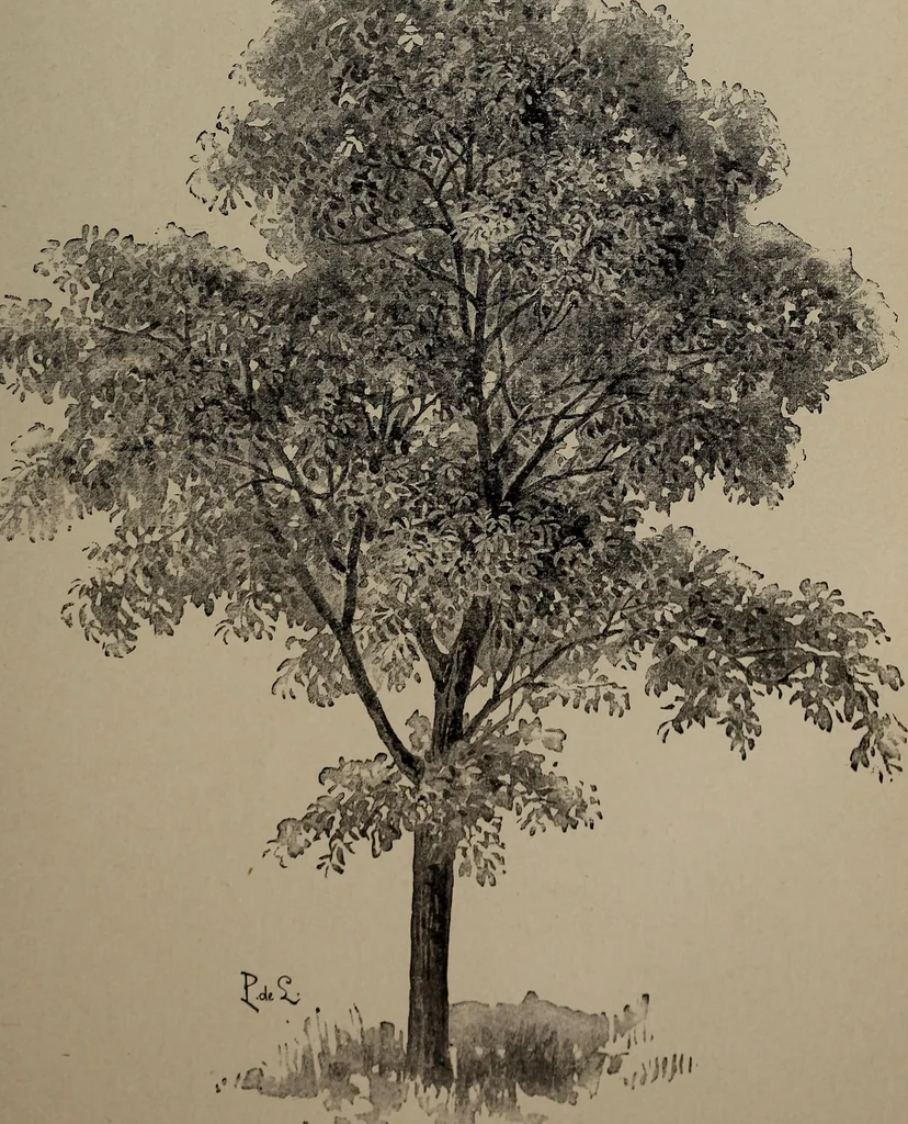 An illustration from The woman's book : dealing practically with the modern conditions of home-life, self-support, education, opportunties, and every-day problems, 1894, leaf 42