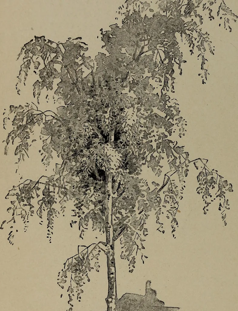 An illustration from The woman's book : dealing practically with the modern conditions of home-life, self-support, education, opportunties, and every-day problems, 1894, leaf 43