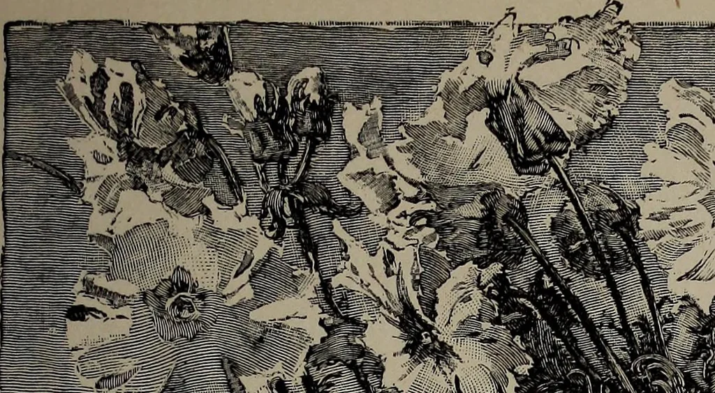 An illustration from The woman's book : dealing practically with the modern conditions of home-life, self-support, education, opportunties, and every-day problems, 1894, leaf 50