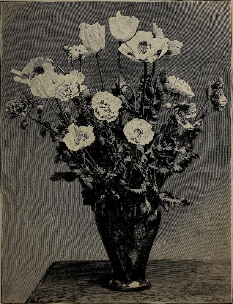 An illustration from The woman's book : dealing practically with the modern conditions of home-life, self-support, education, opportunties, and every-day problems, 1894, leaf 64