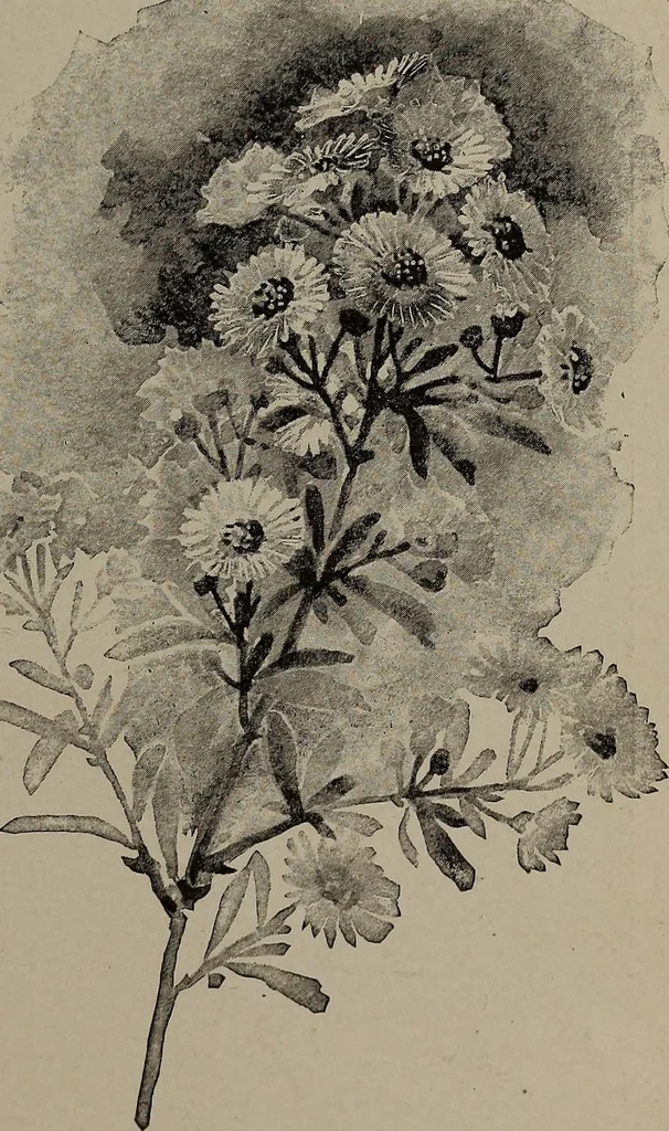 An illustration from The woman's book : dealing practically with the modern conditions of home-life, self-support, education, opportunties, and every-day problems, 1894, leaf 74