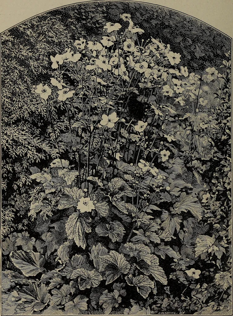 An illustration from The woman's book : dealing practically with the modern conditions of home-life, self-support, education, opportunties, and every-day problems, 1894, leaf 75