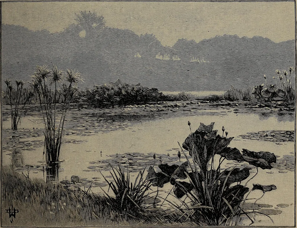 An illustration from The woman's book : dealing practically with the modern conditions of home-life, self-support, education, opportunties, and every-day problems, 1894, leaf 76
