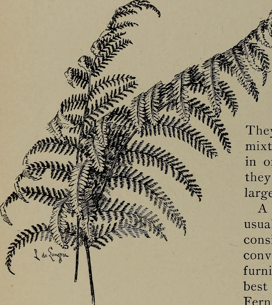 An illustration from The woman's book : dealing practically with the modern conditions of home-life, self-support, education, opportunties, and every-day problems, 1894, leaf 79