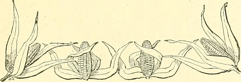An illustration from Woman’s handiwork in modern homes, by Constance Cary Harrison; with numerous illustrations and five colored plates from designs by Samuel Colman, Rosina Emmet, George Gibson, and others, 1881, leaf 264