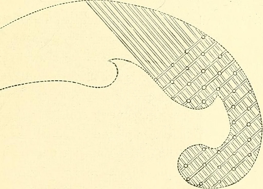 An illustration from Woman’s handiwork in modern homes, by Constance Cary Harrison; with numerous illustrations and five colored plates from designs by Samuel Colman, Rosina Emmet, George Gibson, and others, 1881, leaf 48