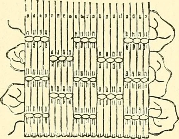 An illustration from Woman’s handiwork in modern homes, by Constance Cary Harrison; with numerous illustrations and five colored plates from designs by Samuel Colman, Rosina Emmet, George Gibson, and others, 1881, leaf 50