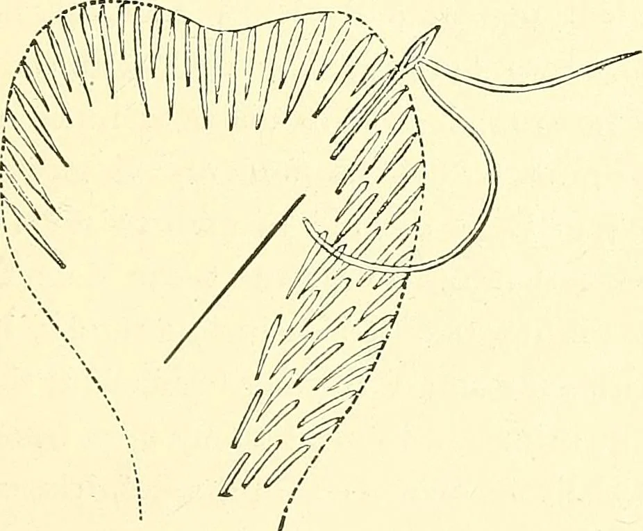 An illustration from Woman’s handiwork in modern homes, by Constance Cary Harrison; with numerous illustrations and five colored plates from designs by Samuel Colman, Rosina Emmet, George Gibson, and others, 1881, leaf 52