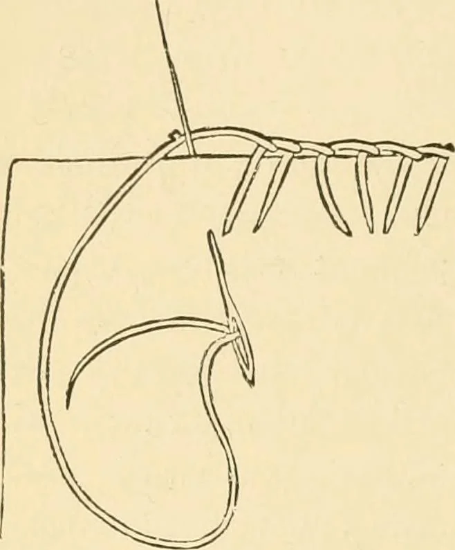 An illustration from Woman’s handiwork in modern homes, by Constance Cary Harrison; with numerous illustrations and five colored plates from designs by Samuel Colman, Rosina Emmet, George Gibson, and others, 1881, leaf 57