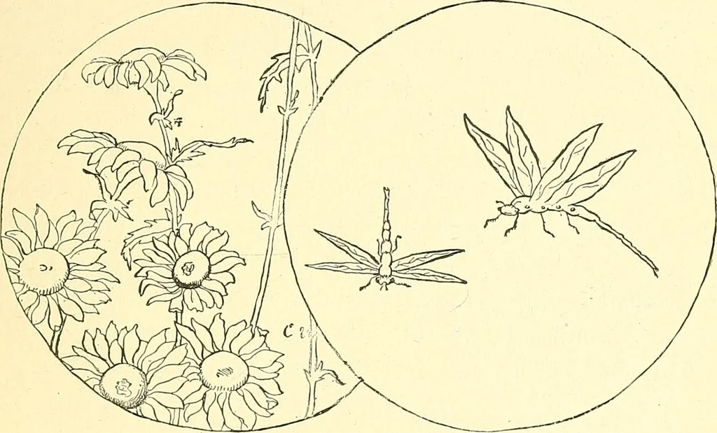 An illustration from Woman’s handiwork in modern homes, by Constance Cary Harrison; with numerous illustrations and five colored plates from designs by Samuel Colman, Rosina Emmet, George Gibson, and others, 1881, leaf 88