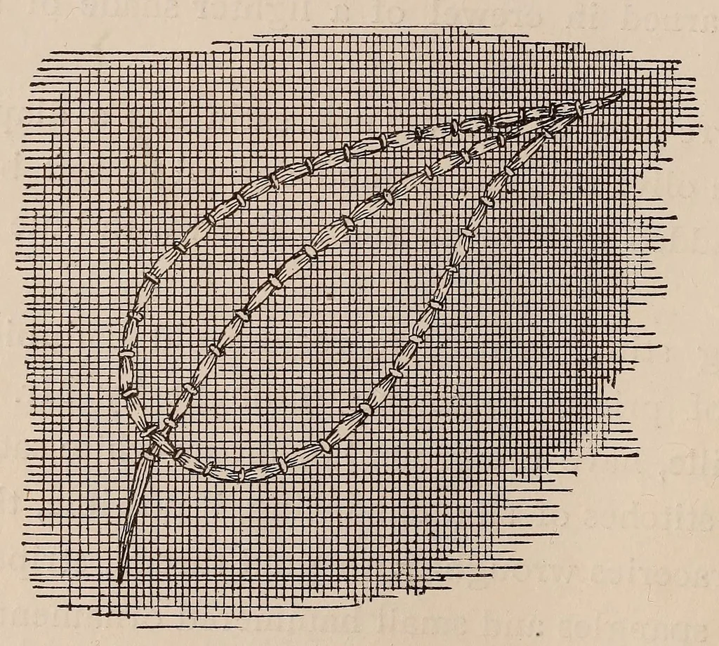 An illustration from Woman's handiwork in modern homes, 1881, leaf 50