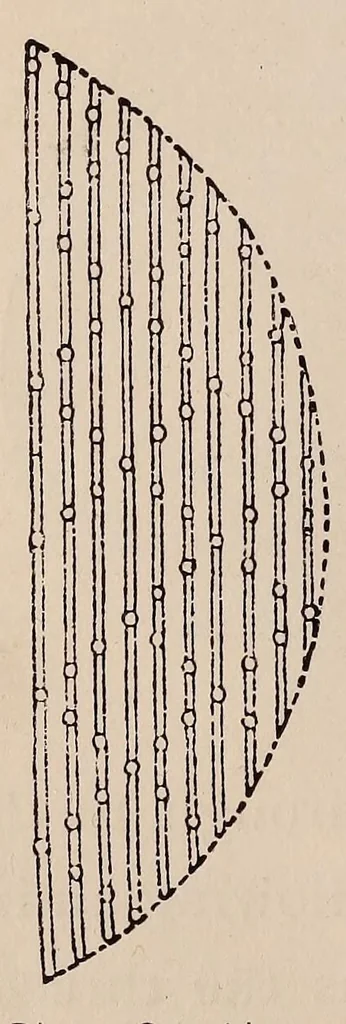 An illustration from Woman's handiwork in modern homes, 1881, leaf 52
