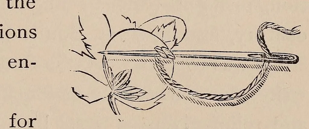 An illustration from Woman's handiwork in modern homes, 1881, leaf 61