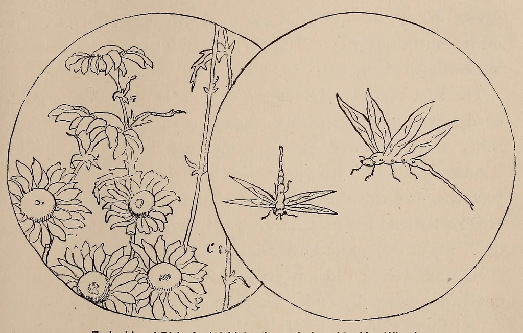 An illustration from Woman's handiwork in modern homes, 1881, leaf 89