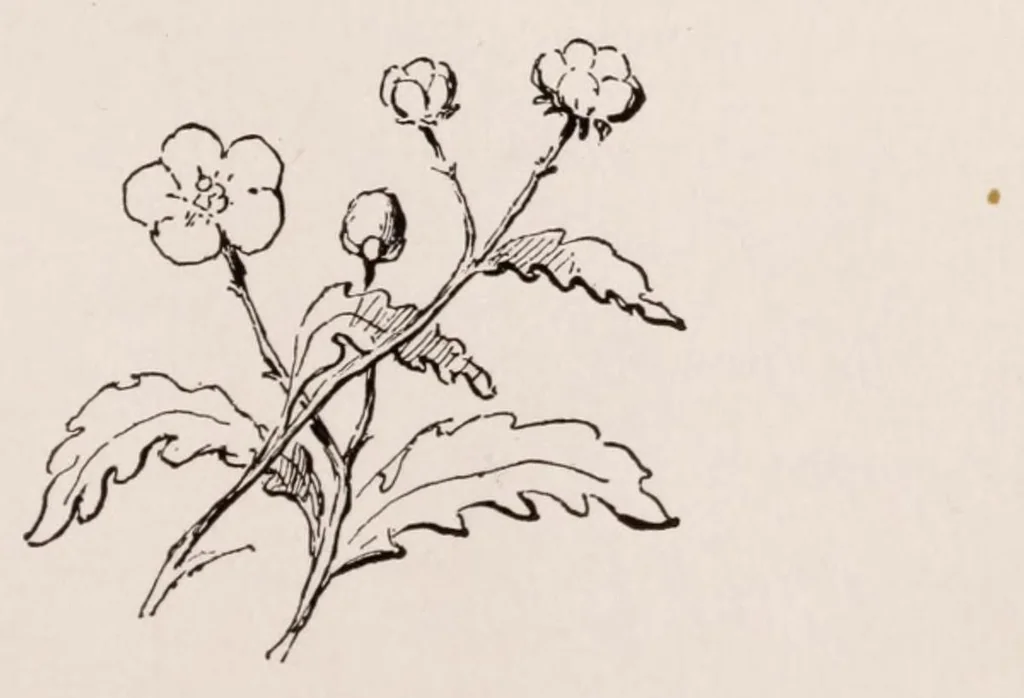An illustration from Woman's handiwork in modern homes, 1882, leaf 287