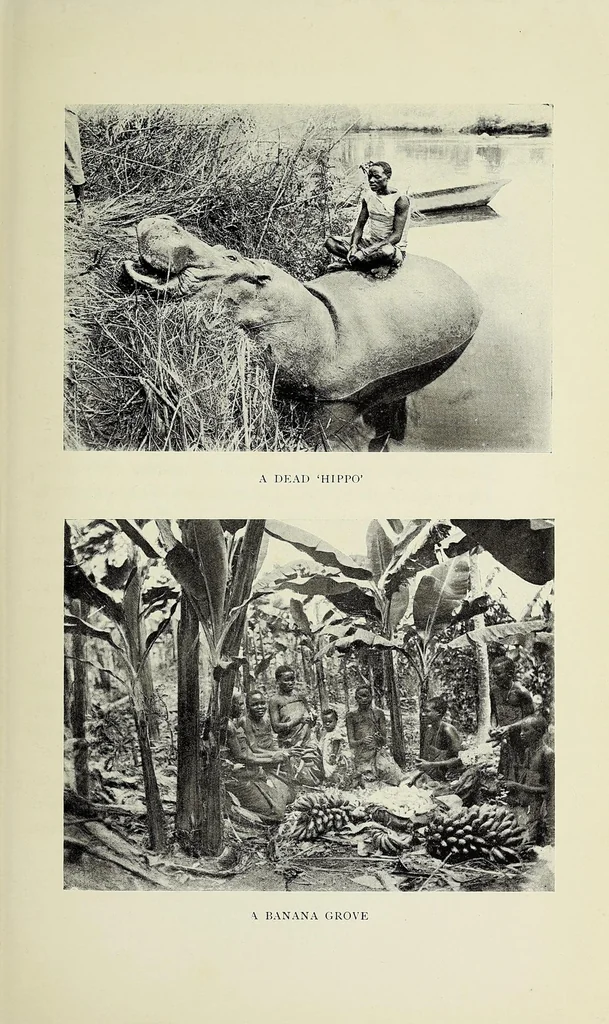 An illustration from A woman's trek from the Cape to Cairo, 1907, leaf 307