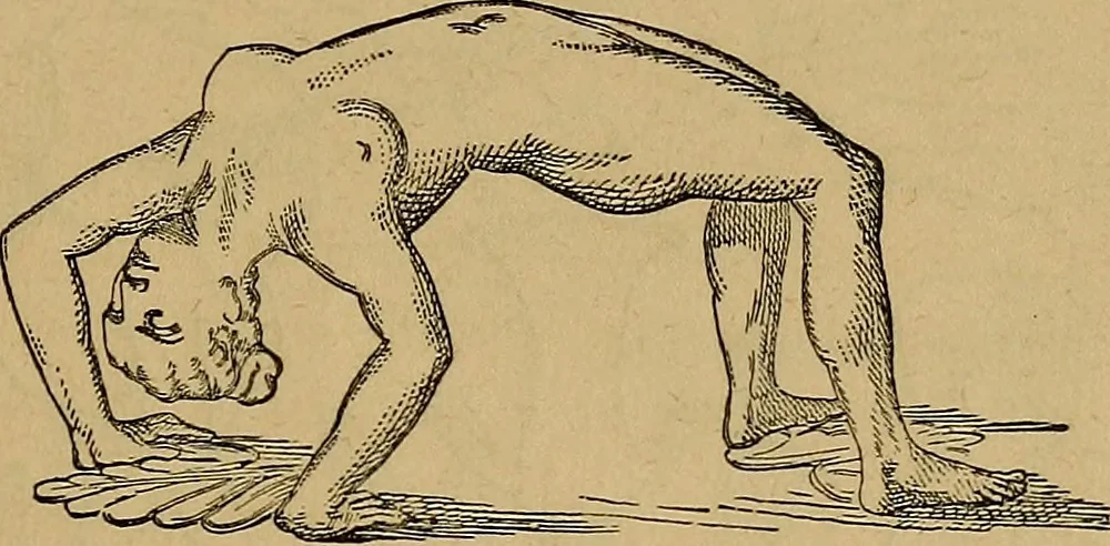 An illustration from Wonders of bodily strength and skill, in all ages and countries, 1885, leaf 154