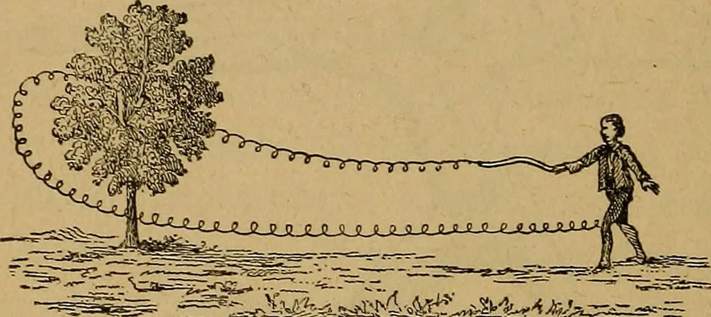 An illustration from Wonders of bodily strength and skill, in all ages and countries, 1885, leaf 339