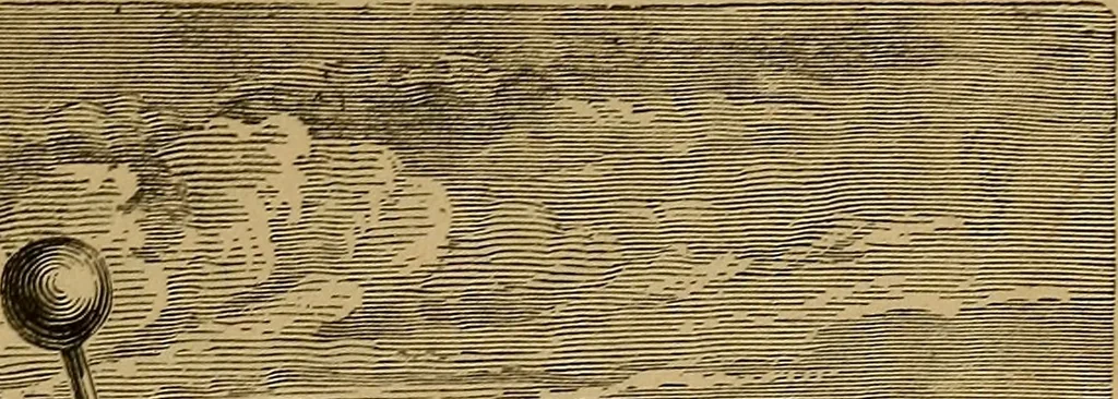 An illustration from Wonders of bodily strength and skill, in all ages and countries, 1885, leaf 72