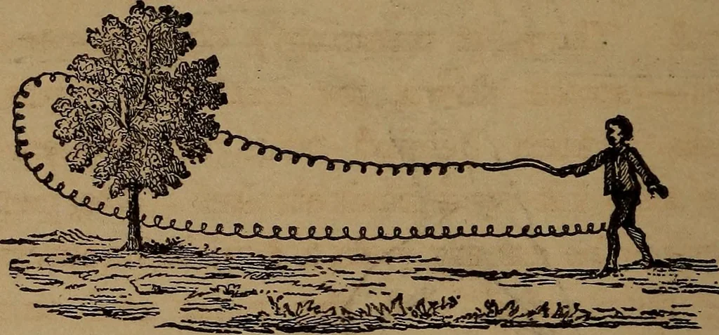 An illustration from Wonders of bodily strength and skill : in all ages and all countries, 1873, leaf 341