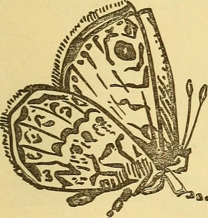 An illustration from Wonders of electricity, 1872, leaf 158