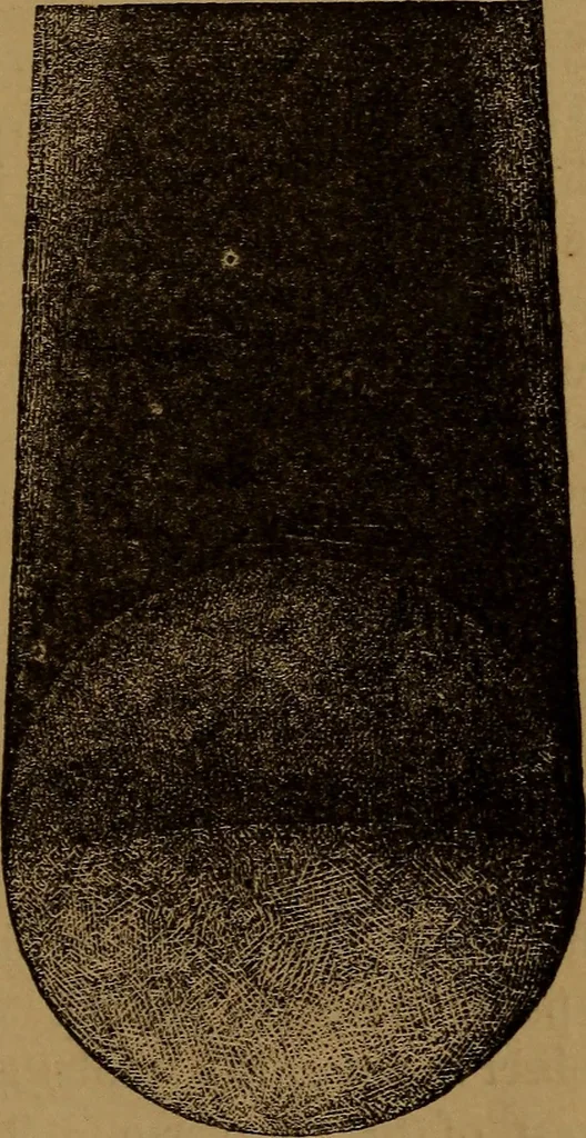 An illustration from The wonders of the heavens, 1871, leaf 20
