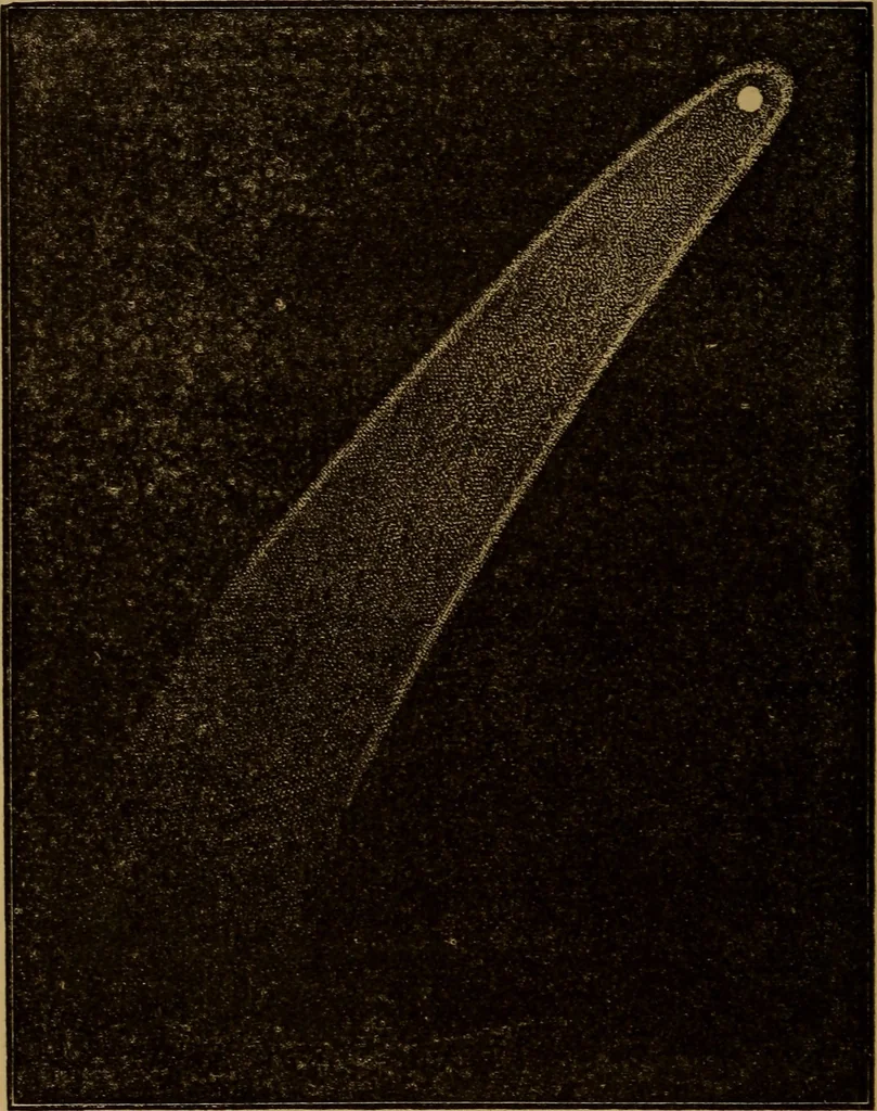 An illustration from The wonders of the heavens, 1871, leaf 219