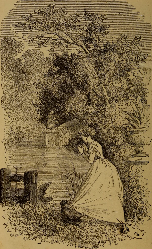 An illustration from The wonders of the heavens, 1871, leaf 317