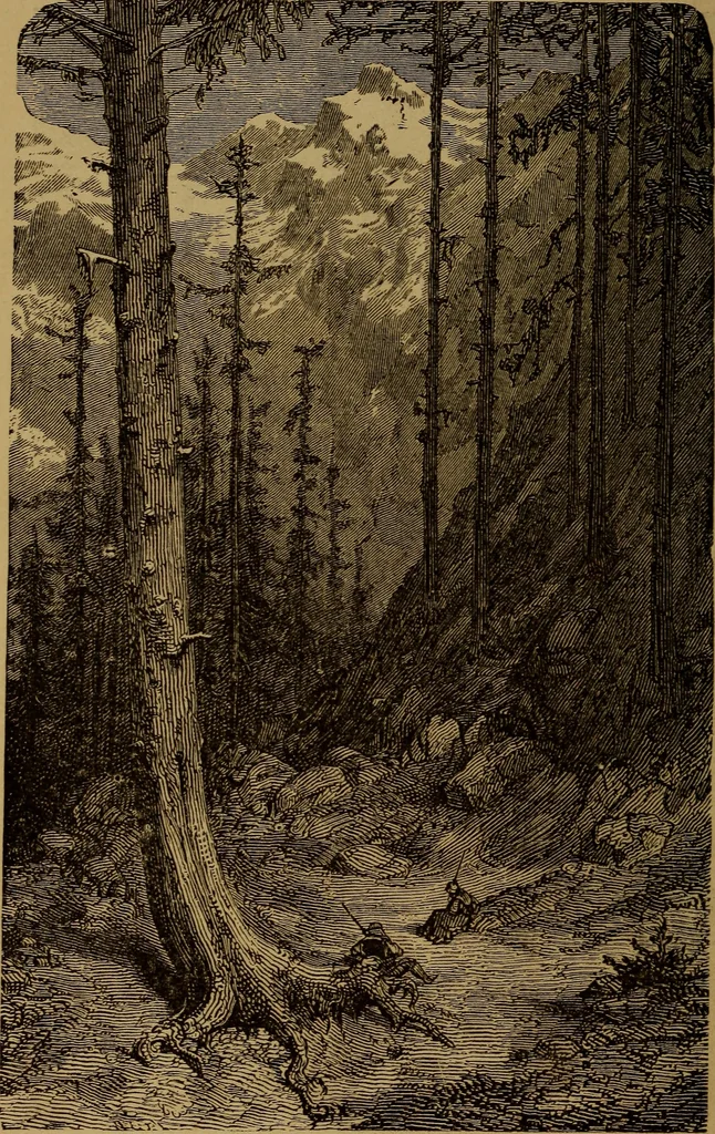 An illustration from The wonders of the heavens, 1871, leaf 321